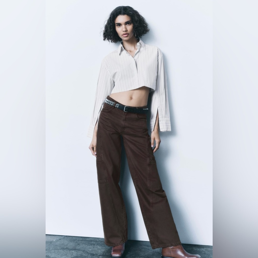 NWT ZARA BROWN WHITE CROPPED STRIPED SHIRT
